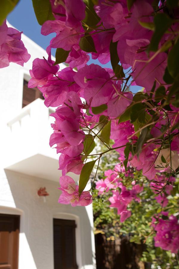 Albatross Hotel Livadi  Exterior photo